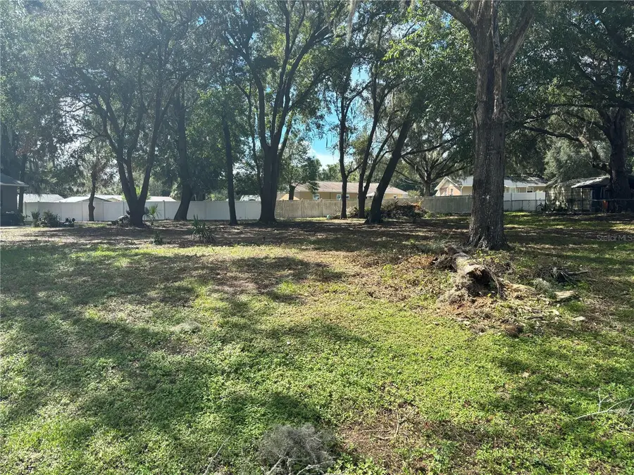11708 SE 129th Place, Ocklawaha, FL 32179 - #3