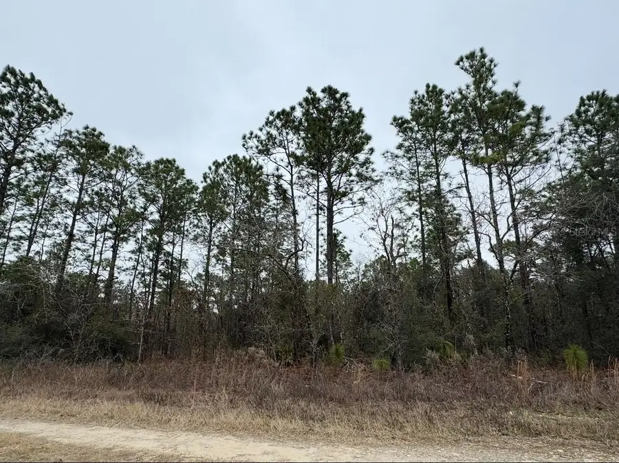 TBD SW 91st Lane, Dunnellon, FL 34432 - #2