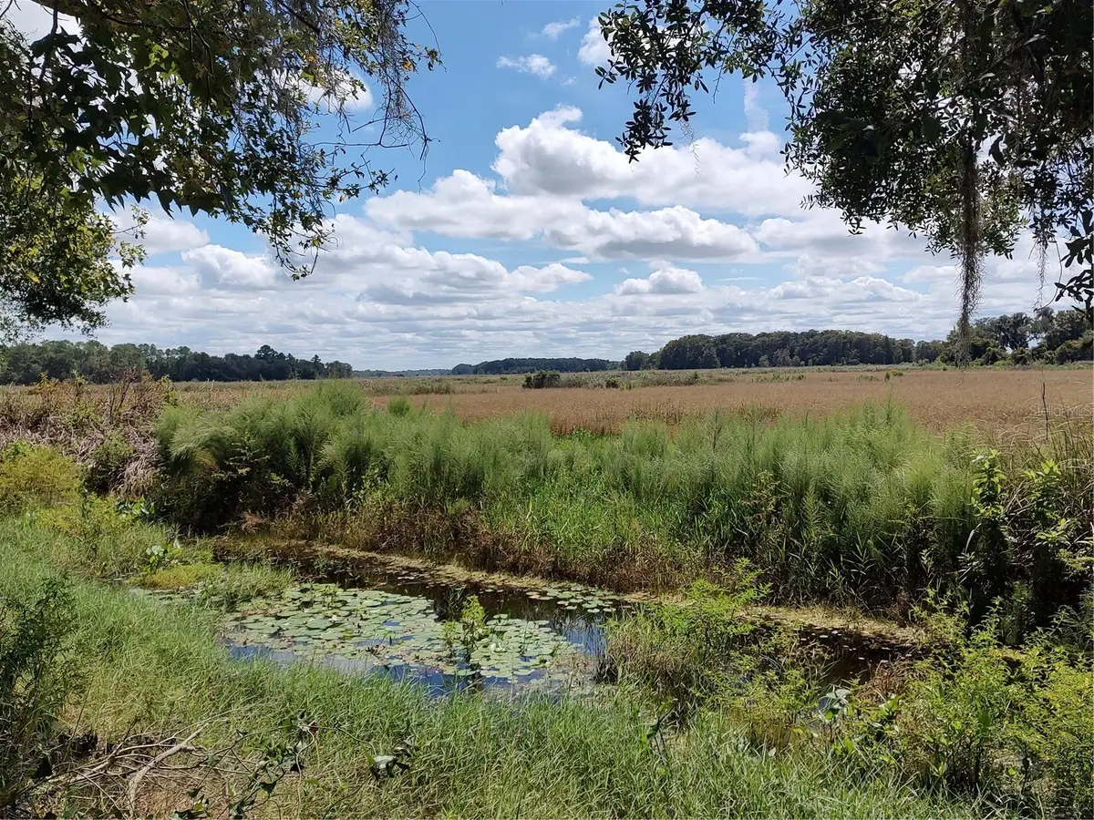 6090 N Bayfront Drive, Hernando, FL 34442 - #1