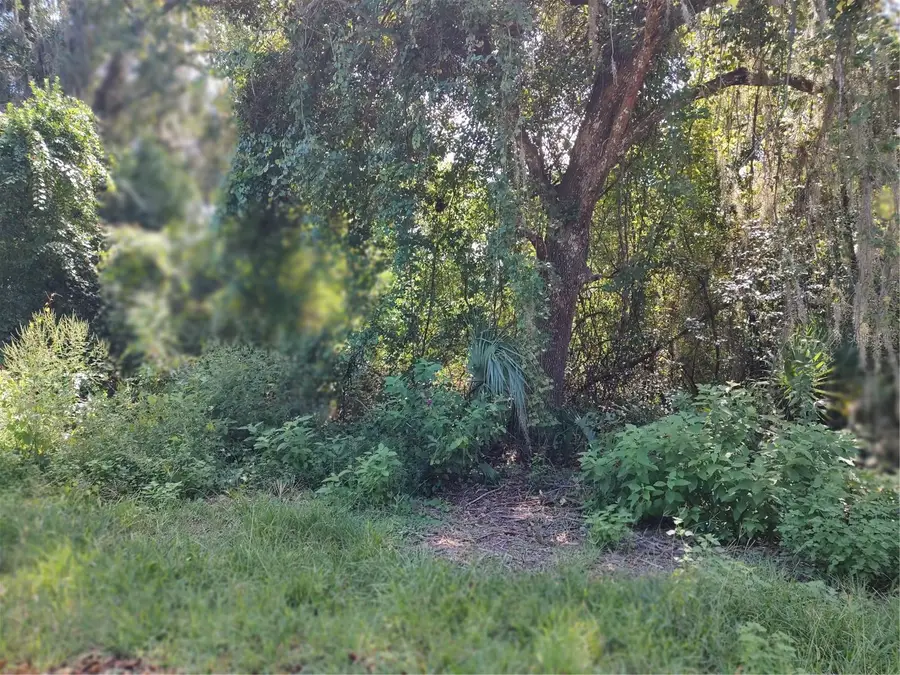 6090 N Bayfront Drive, Hernando, FL 34442 - #2
