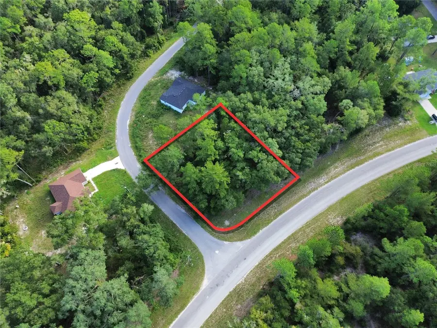 TBD Fisher Road, Ocklawaha, FL 32179 - #2