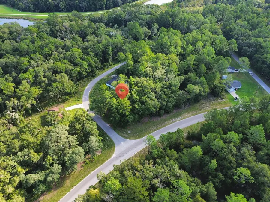 TBD Fisher Road, Ocklawaha, FL 32179 - #3