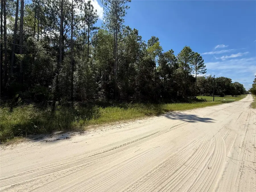 TBD SW 53rd Street, Dunnellon, FL 34432 - #2