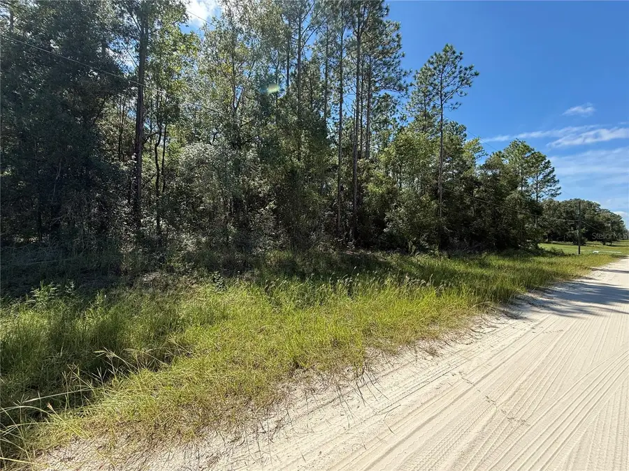 TBD SW 53rd Street, Dunnellon, FL 34432 - #3