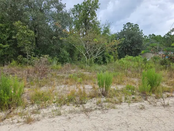 0000 NE 67th Street, BRONSON, FL 32621