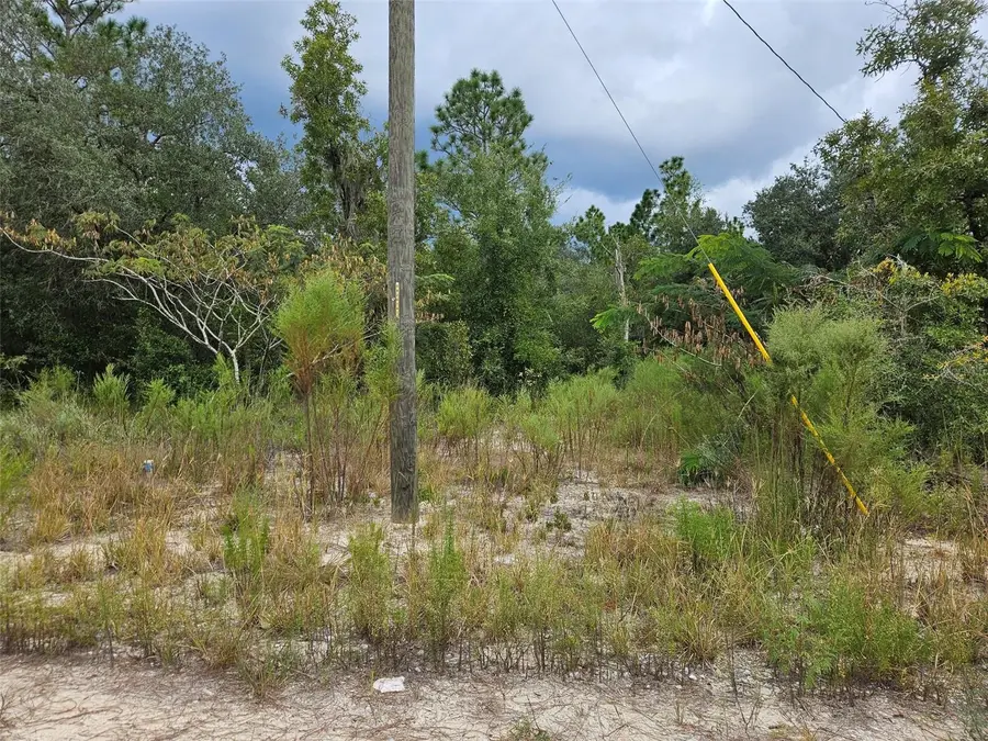 0000 NE 67th Street, Bronson, FL 32621 - #3