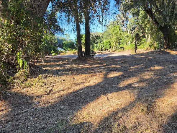 291 SE 81st Street, OCALA, FL 34480