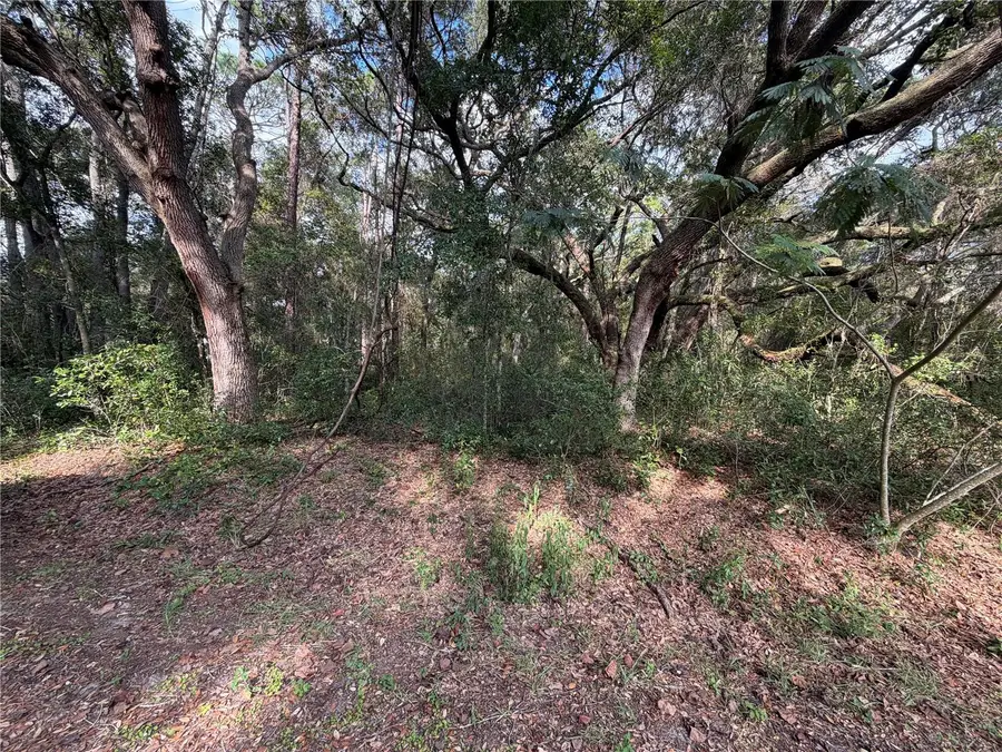 00 SE 169th Ct, Ocklawaha, FL 32179 - #3