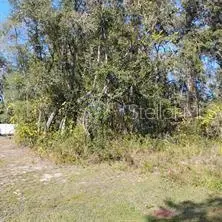 TBD SE 61st Place, Ocklawaha, FL 32179 - #1