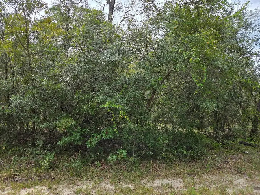 0000 SW South Water Court, Dunnellon, FL 34431 - #3