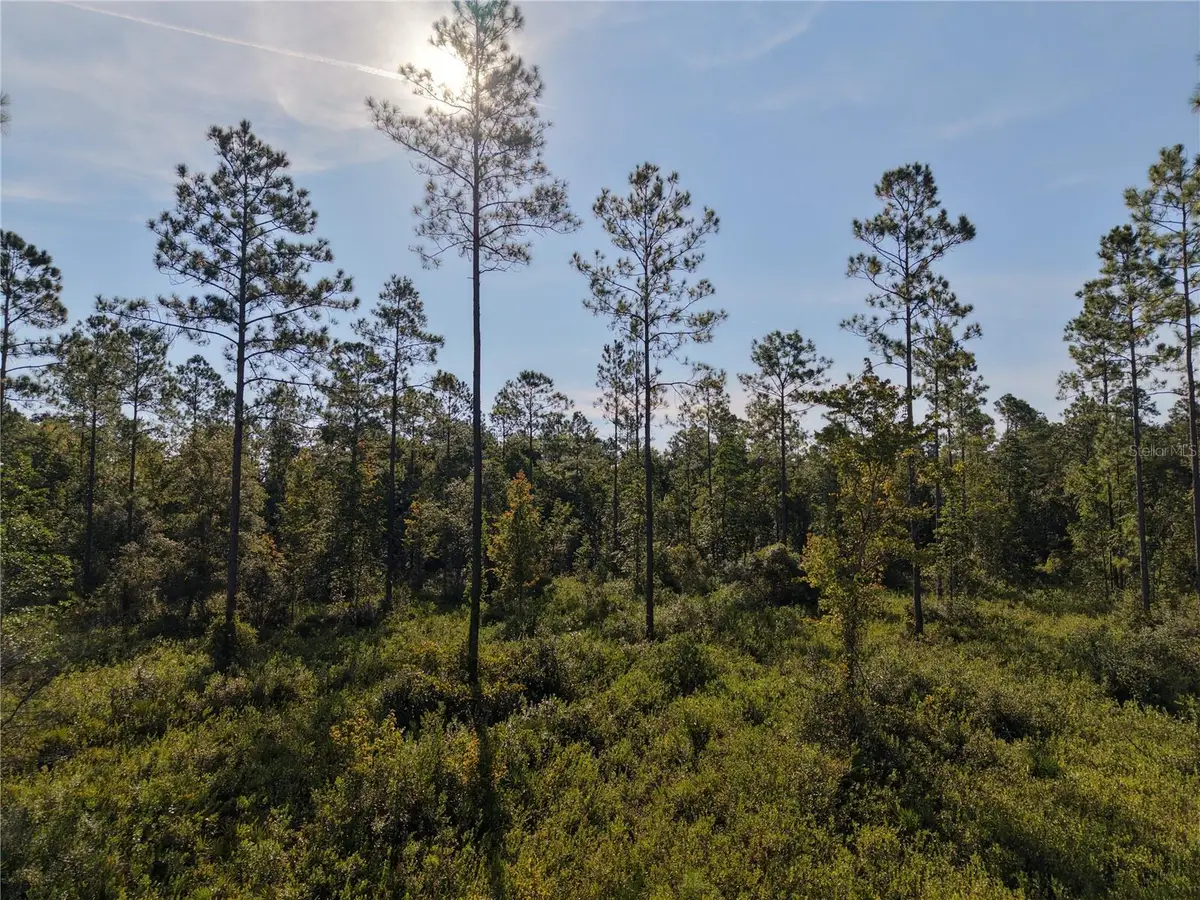Off Ne 212th St., Fort McCoy Anthony, FL 32134 - #1