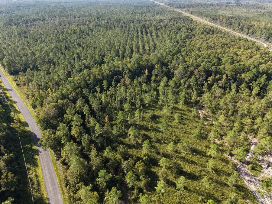 Off Ne 212th St., Fort McCoy Anthony, FL 32134 - #2