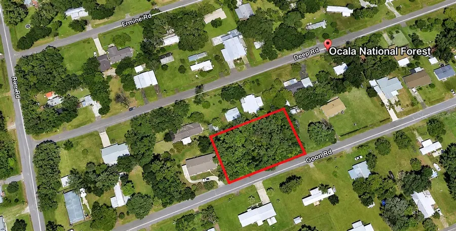 Coon Road, Astor, FL 32102 - #3