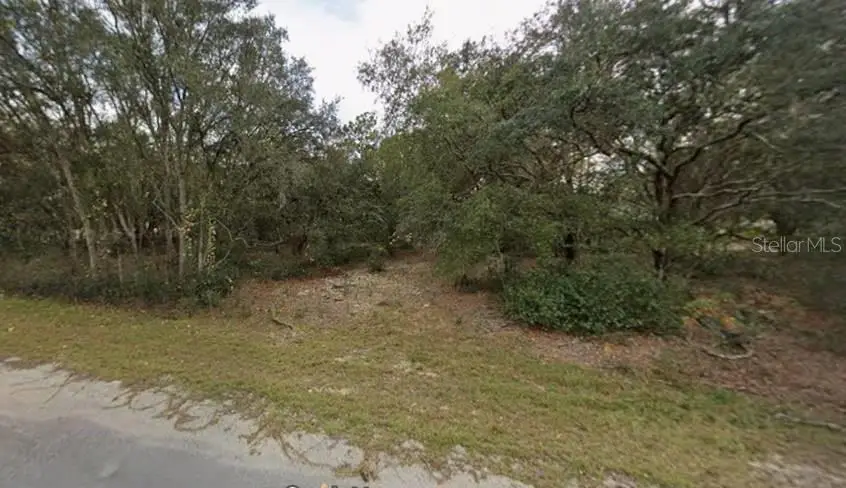 Lot 4 Fisher Terrace Place, Ocklawaha, FL 32179 - #2