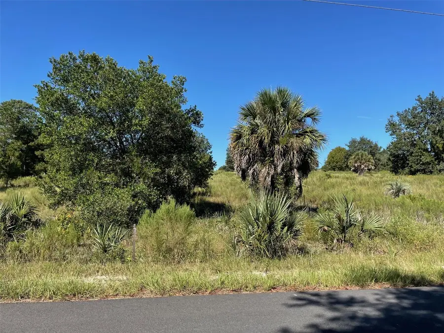 LOT 14 SW Wisteria Court, Dunnellon, FL 34431 - #3