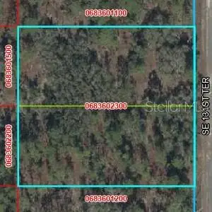 SE 131 Terrace, Dunnellon, FL 34431 - #1