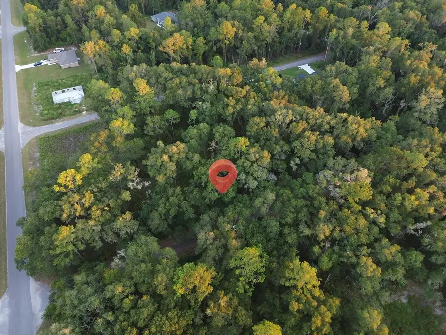 TBD Sequoia Loop Track, Ocklawaha, FL 32179 - #2