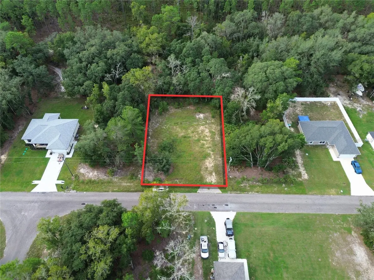 106 Guava Pass, Ocklawaha, FL 32179 - #1