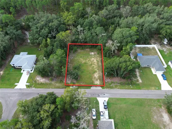 106 Guava Pass, OCKLAWAHA, FL 32179