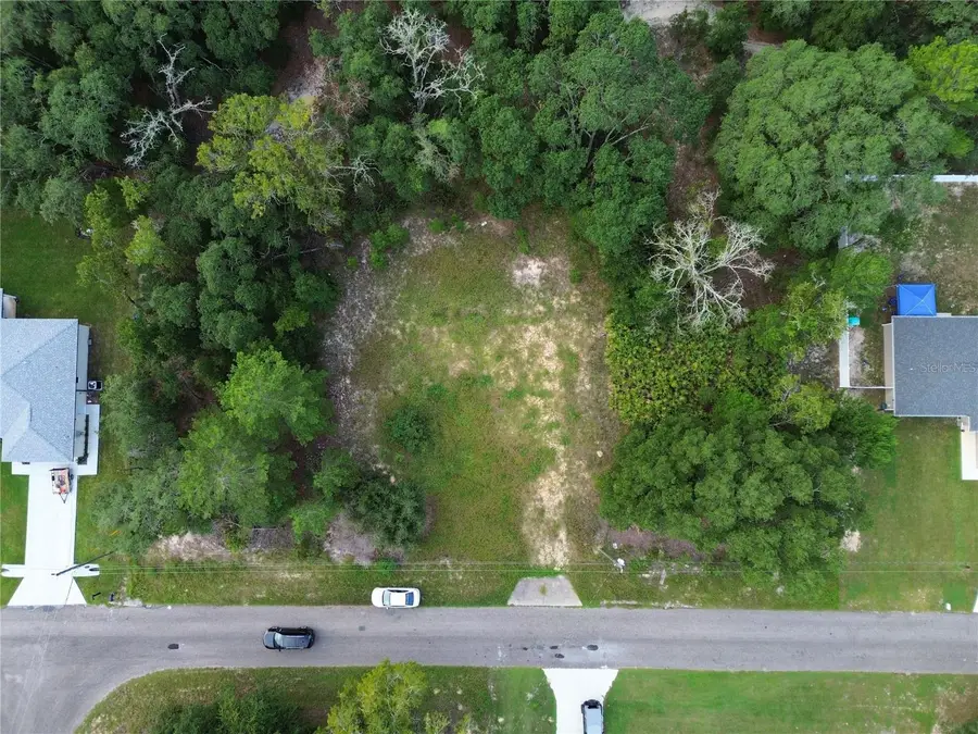 106 Guava Pass, Ocklawaha, FL 32179 - #2