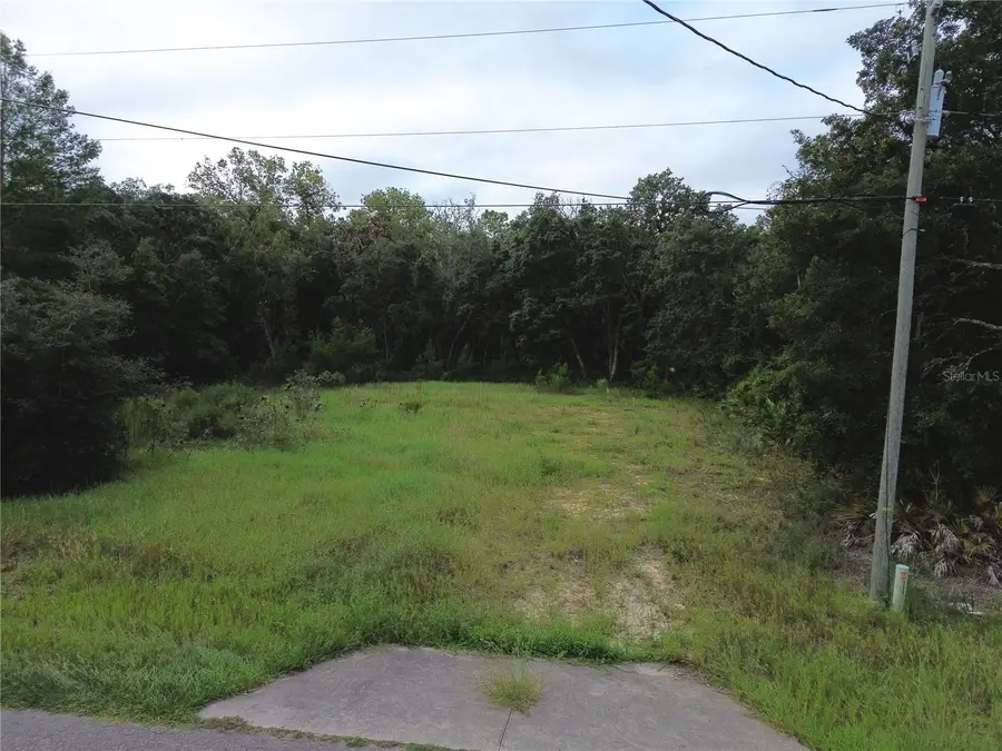 106 Guava Pass, Ocklawaha, FL 32179 - #3
