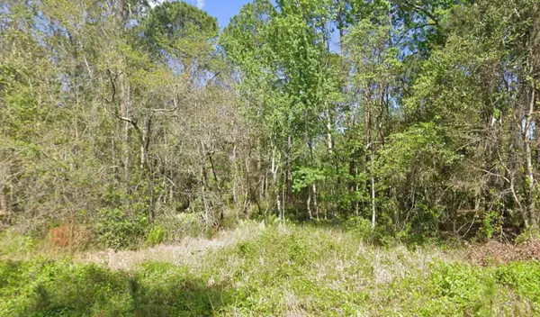 217 Dogwood Avenue, GEORGETOWN, FL 32139
