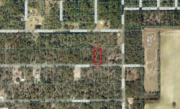 TBD SW Papaya Lane, DUNNELLON, FL 34431