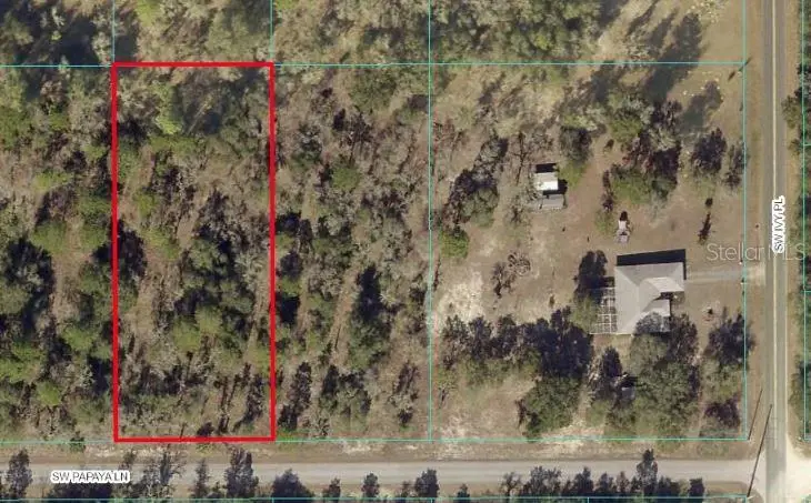 TBD SW Papaya Lane, Dunnellon, FL 34431 - #2