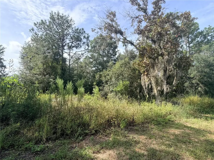 5066 E Anna Jo Drive, Inverness, FL 34452 - #2