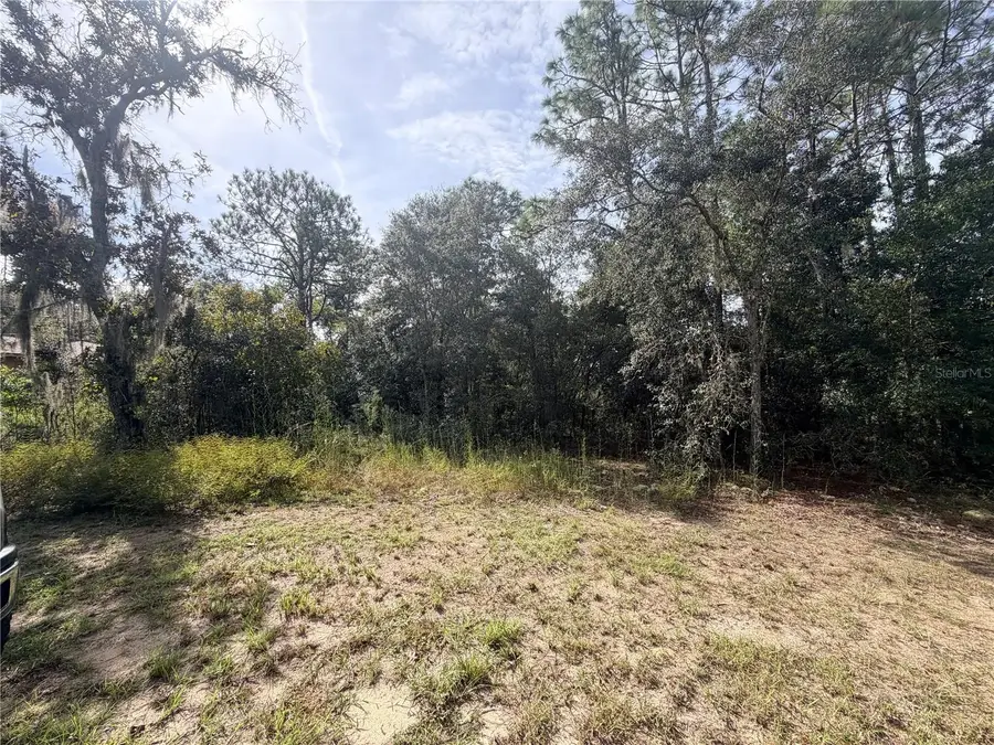 5066 E Anna Jo Drive, Inverness, FL 34452 - #3