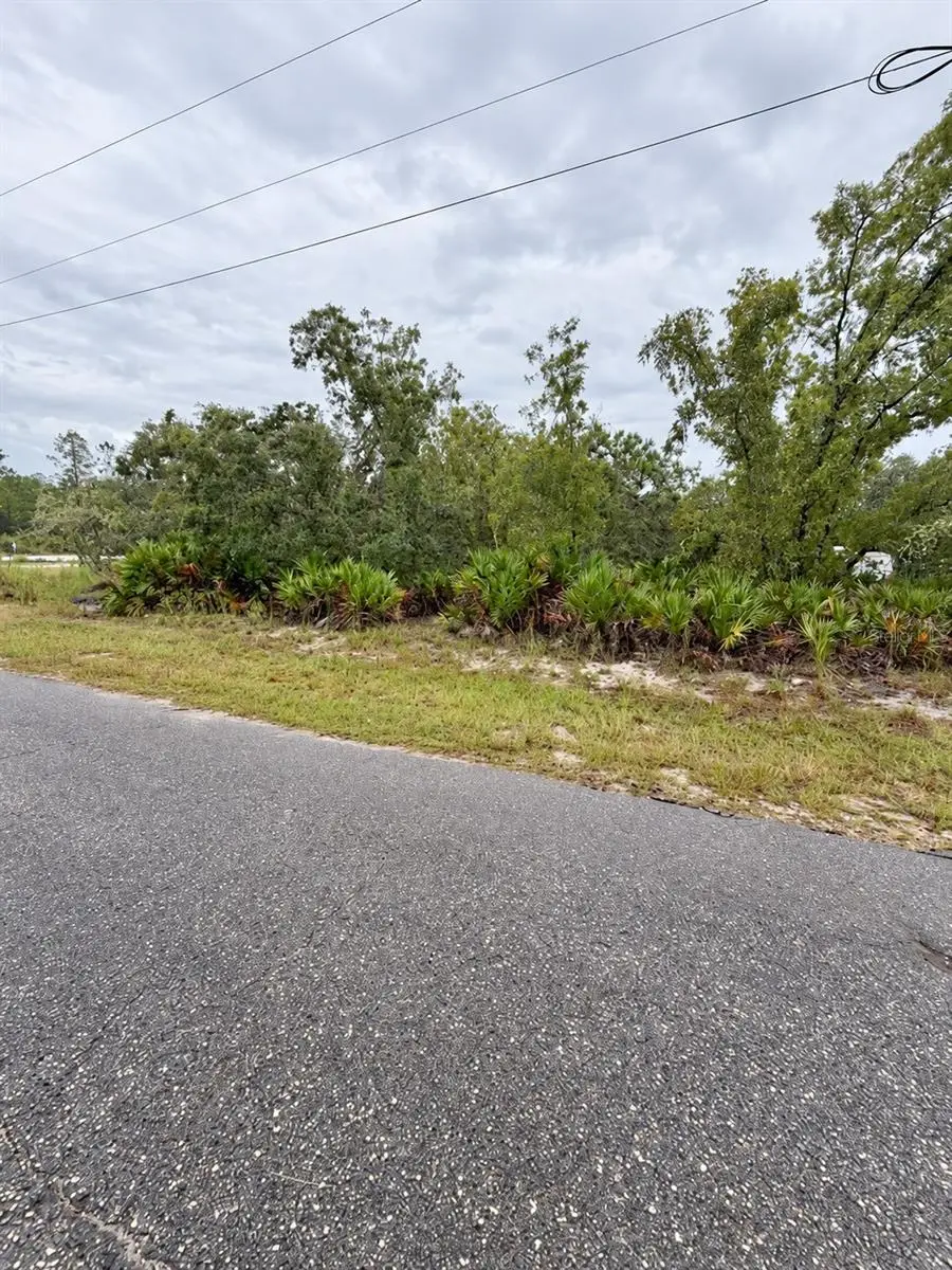 0 Fisher Loop Course, Ocklawaha, FL 32179 - #2