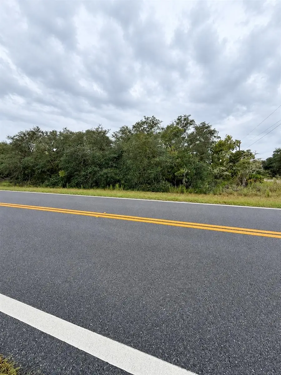 0 Fisher Loop Course, Ocklawaha, FL 32179 - #3