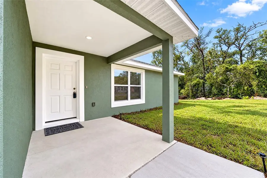 3 Fisher Way Place, Ocklawaha, FL 32179 - #3