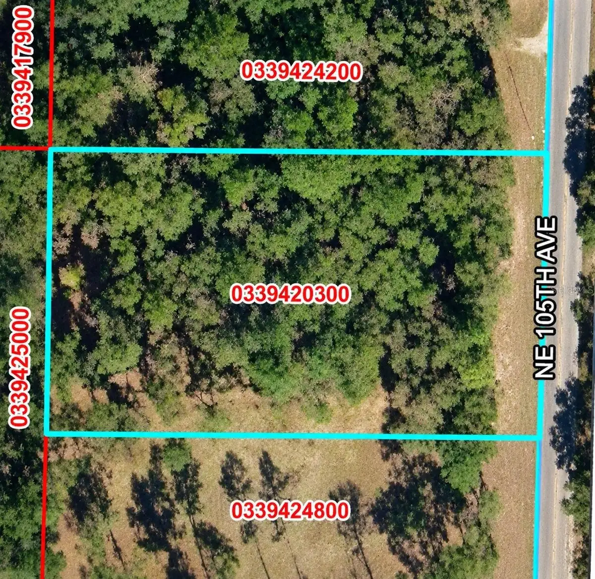 Ne 105th Avenue, Bronson, FL 32621 - #1