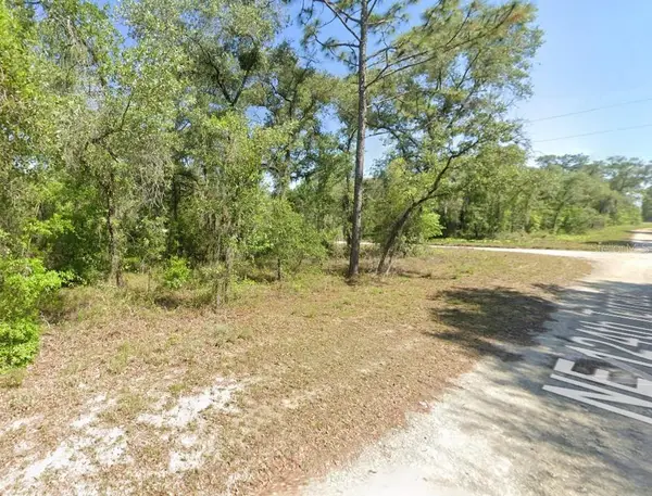 Lot 6 NE 124 Street, WILLISTON, FL 32696