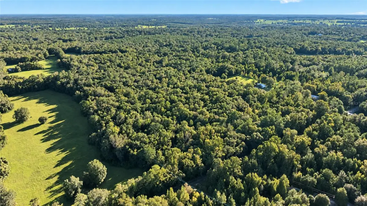 TBD NW 200th Street, Micanopy, FL 32667 - #1