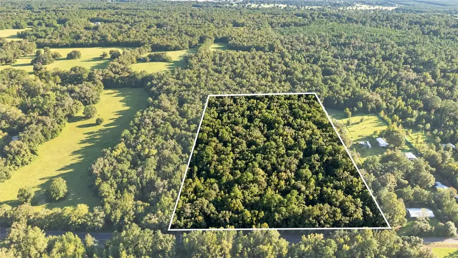 TBD NW 200th Street, Micanopy, FL 32667 - #2
