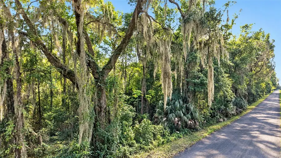 TBD NW 200th Street, Micanopy, FL 32667 - #3