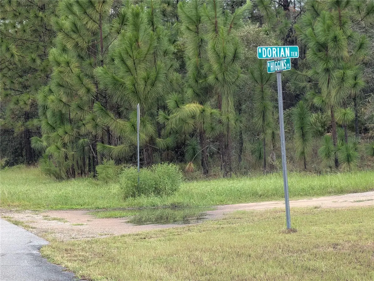 6443 N Dorian Terrace, Dunnellon, FL 34433 - #1