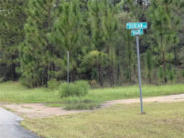 6443 N Dorian Terrace, DUNNELLON, FL 34433