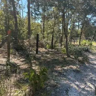Sw 92nd Place, Dunnellon, FL 34432 - #3