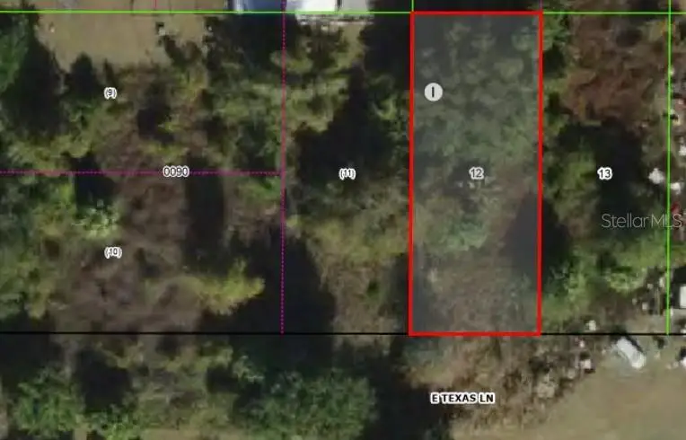 4279 E Texas Lane, Hernando, FL 34442 - #3