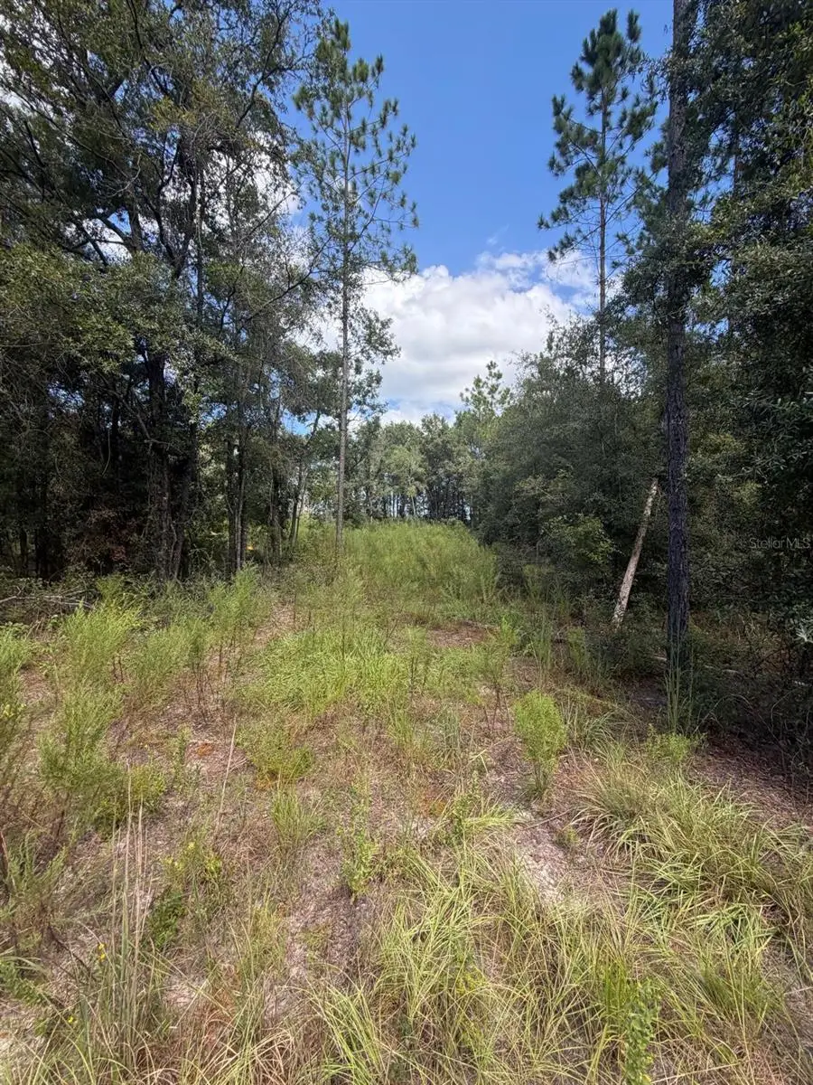 Foxwood, Fort White, FL 32038 - #2