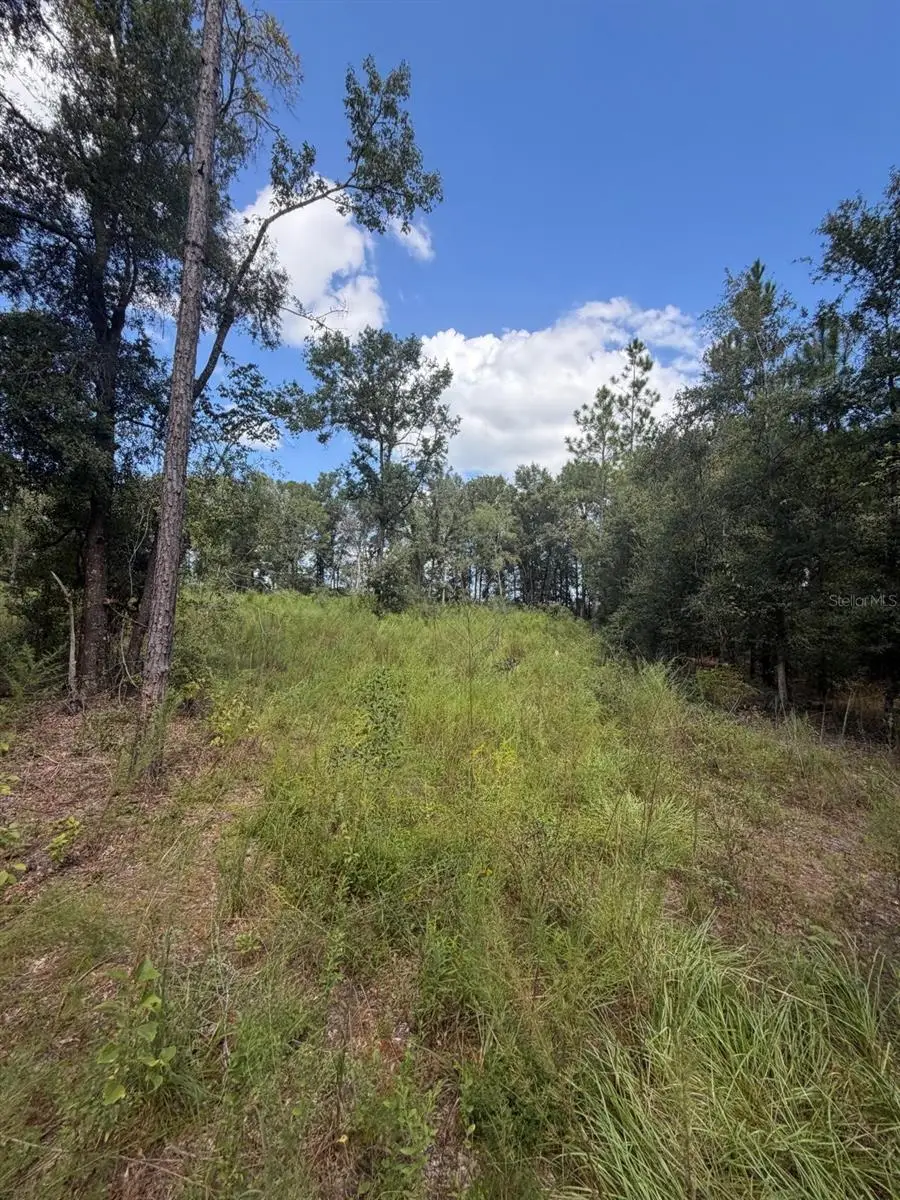 Foxwood, Fort White, FL 32038 - #3