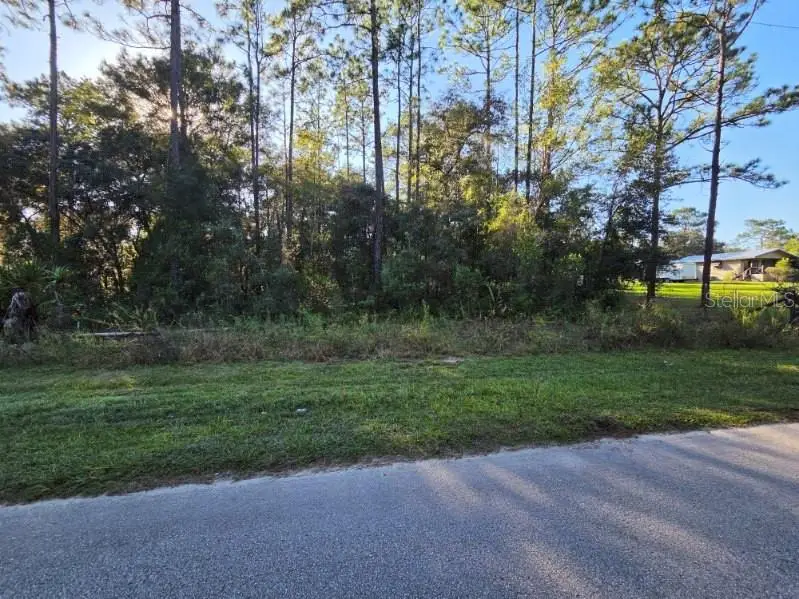 Sw 176th Ave, Dunnellon, FL 34432 - #3