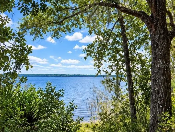 TBD NE 245th Street Road, Fort McCoy, FL 32134 - #2