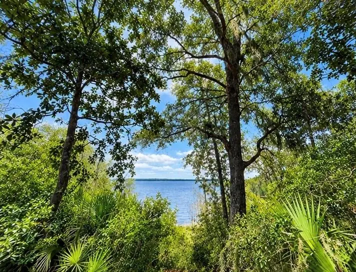 TBD NE 245th Street Road, Fort McCoy, FL 32134 - #3