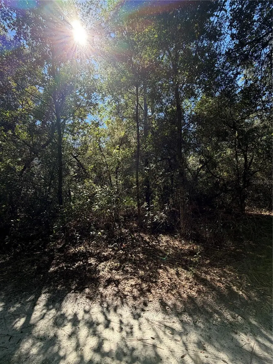 TBD SW 151st Place, Dunnellon, FL 34432 - #1