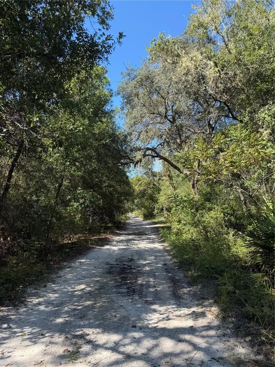 TBD SW 151st Place, Dunnellon, FL 34432 - #2
