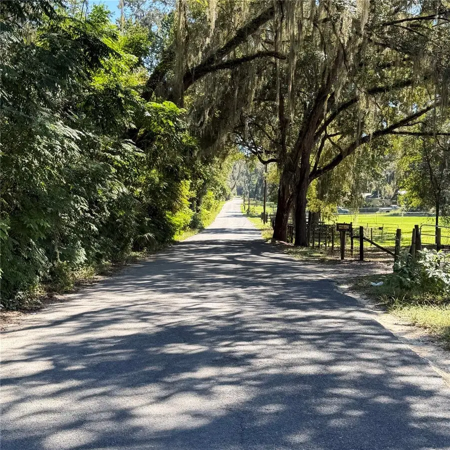 16612 SE 25th Avenue, Summerfield, FL 34491 - #2